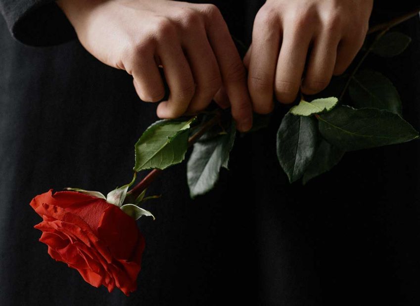 Cremación sin velatorio